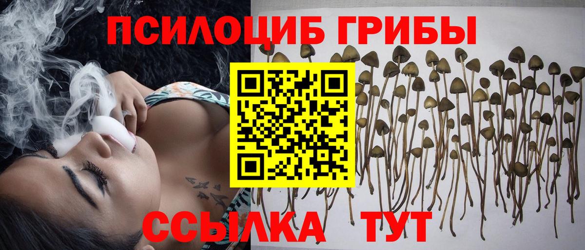 Донской  Псилоцибиновые грибы MAGIC MUSHROOMS  где продают   Вход с VPN 